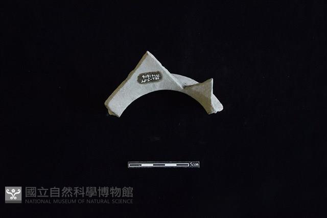 陶罐藏品圖，第2張