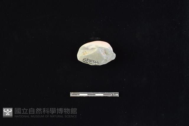 陶片藏品圖，第2張