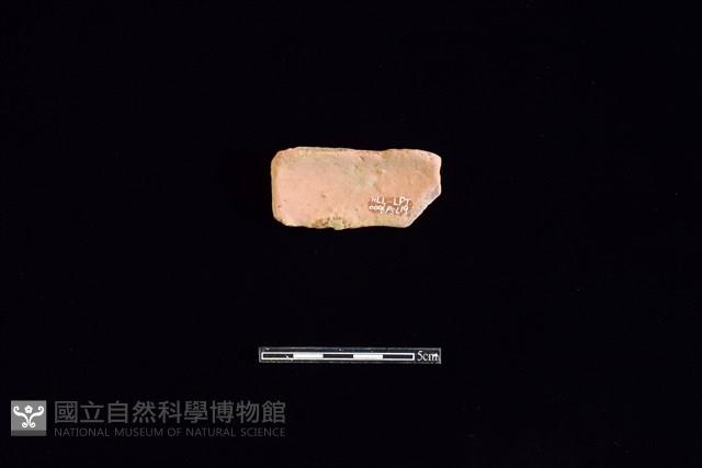 陶片藏品圖，第2張