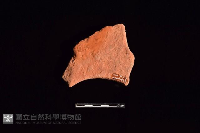 連杯形器藏品圖，第2張