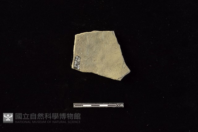 陶片藏品圖，第2張