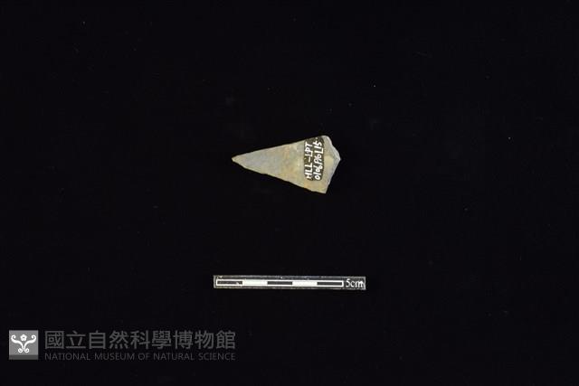 Accession Number:HLL-L-PT0106 Collection Image, Figure 2, Total 2 Figures