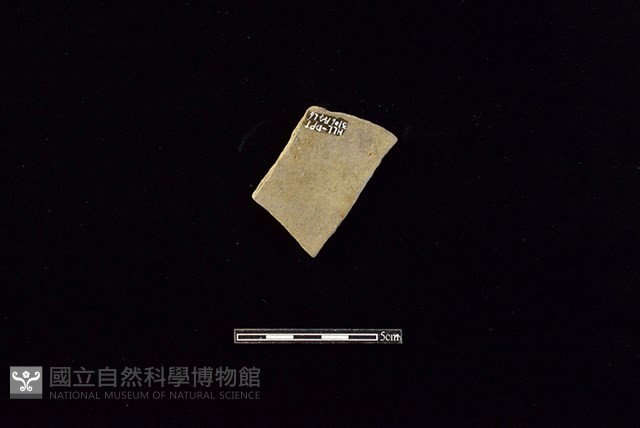 陶片藏品圖，第2張