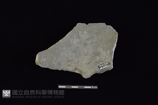 陶片藏品圖，第2張