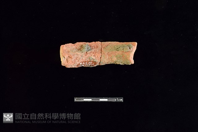 陶罐藏品圖，第2張