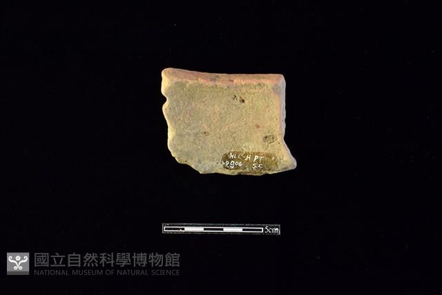 陶片藏品圖，第2張