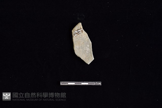 陶片藏品圖，第2張