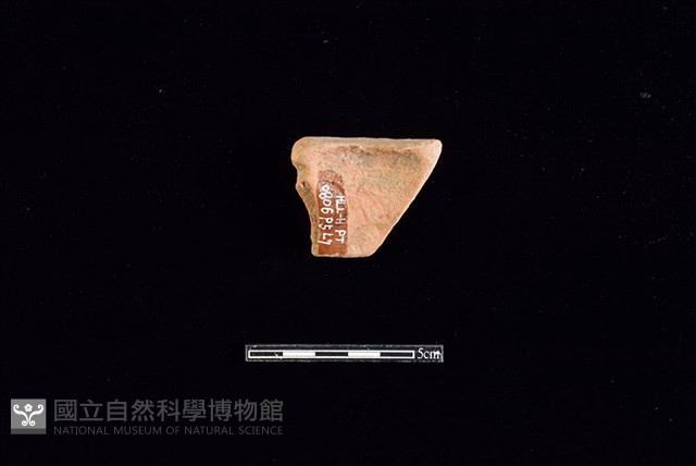 陶片藏品圖，第2張