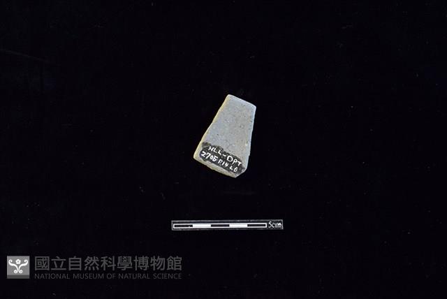 陶片藏品圖，第2張