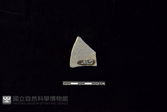 陶片藏品圖，第2張