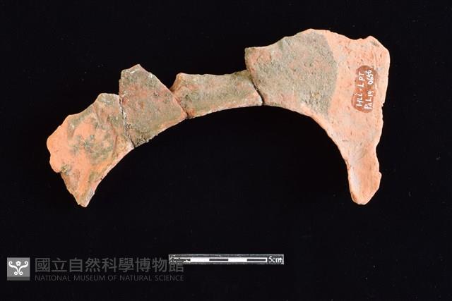 連杯形器藏品圖，第2張