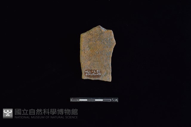 陶片藏品圖，第2張