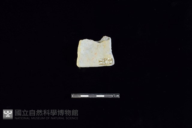 陶片藏品圖，第2張