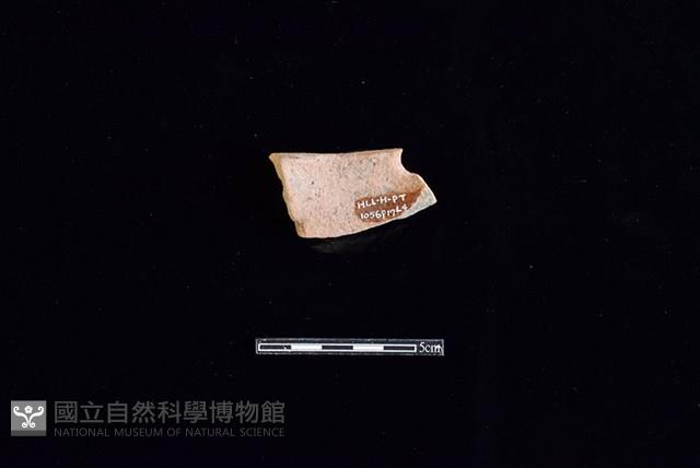 陶片藏品圖，第2張