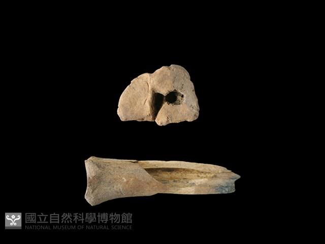 梅花鹿骨藏品圖，第1張