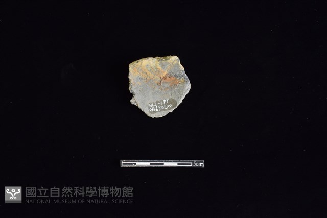 陶片藏品圖，第2張