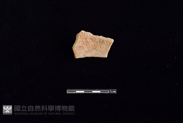 陶片藏品圖，第2張