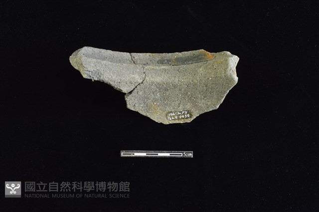 陶罐藏品圖，第2張