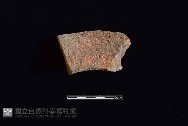 陶罐藏品圖，第2張