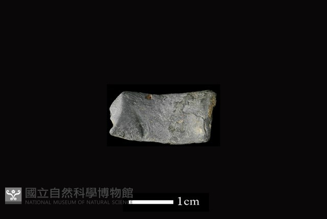 陶環藏品圖，第2張