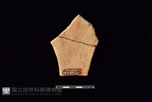 陶片藏品圖，第2張