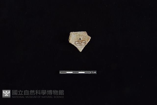 陶罐藏品圖，第2張