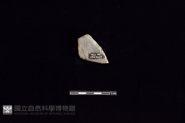 陶片藏品圖，第2張