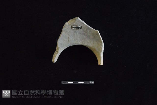 陶罐藏品圖，第2張