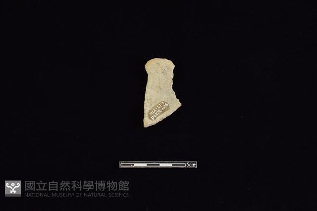 陶片藏品圖，第2張