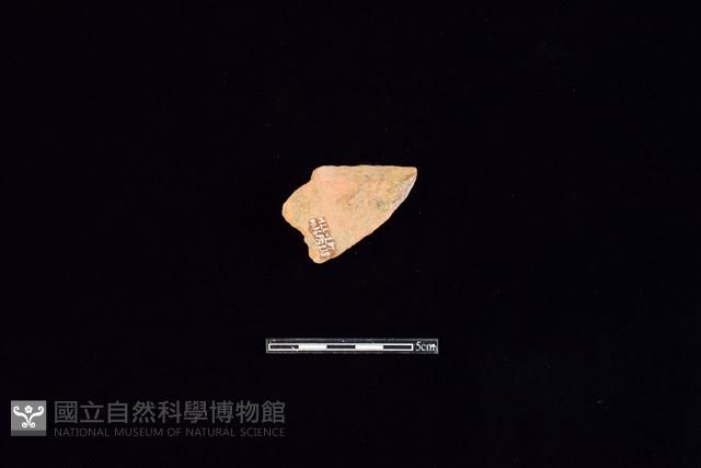 連杯形器藏品圖，第2張