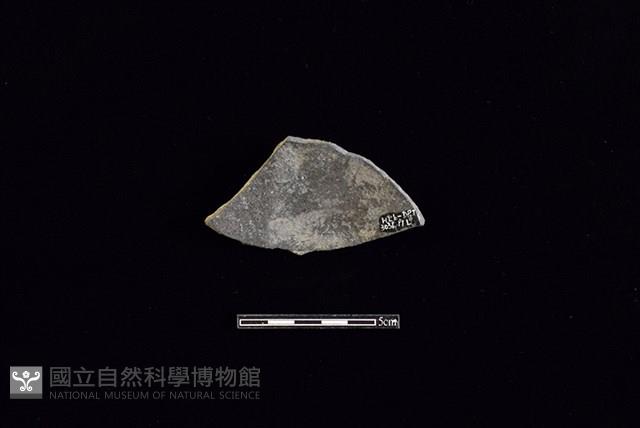 陶片藏品圖，第2張