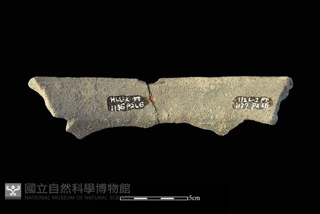 陶罐藏品圖，第1張