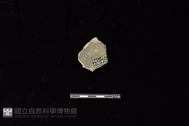 陶片藏品圖，第2張