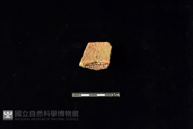 陶罐藏品圖，第2張