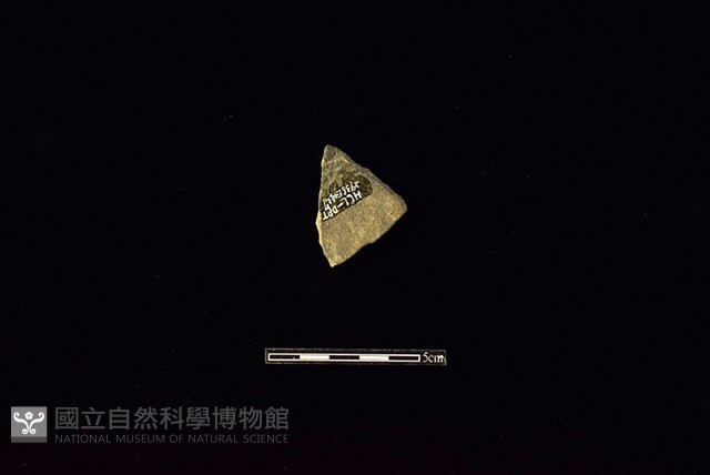 陶片藏品圖，第2張
