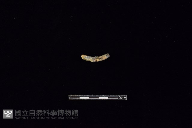 陶環藏品圖，第2張