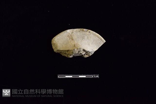 陶杯藏品圖，第2張