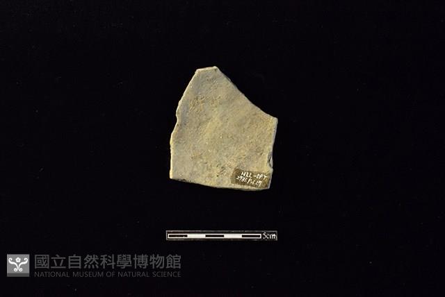 陶片藏品圖，第2張