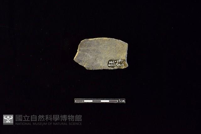 陶片藏品圖，第2張