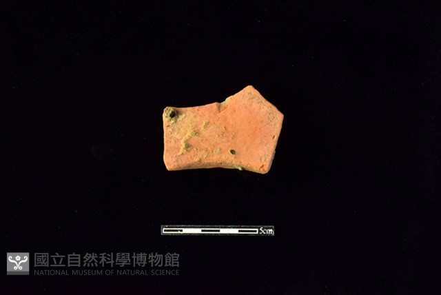 連杯形器藏品圖，第2張