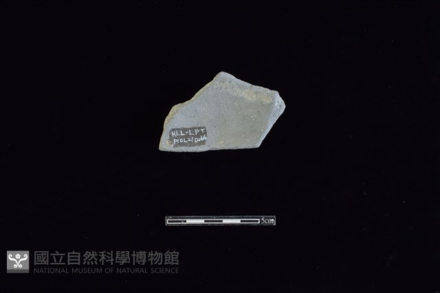 陶片藏品圖，第2張