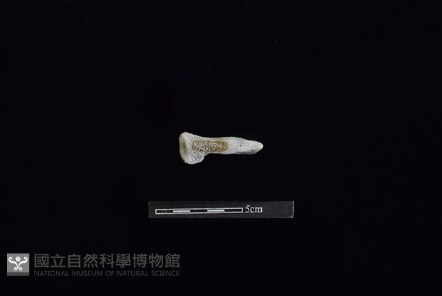 陶把藏品圖，第2張