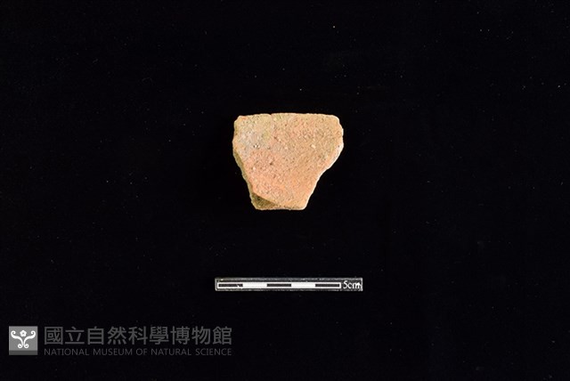 陶罐藏品圖，第2張