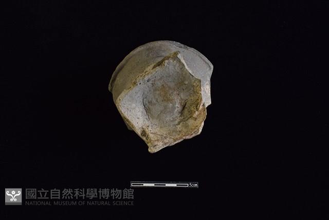 蓋鈕藏品圖，第2張