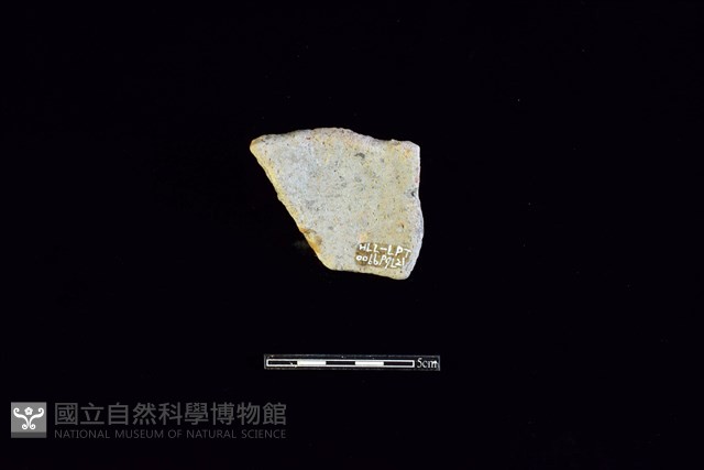 陶片藏品圖，第2張