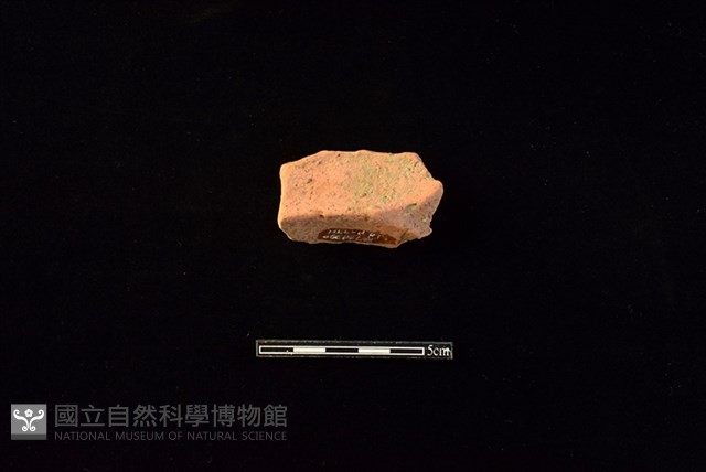 陶罐藏品圖，第2張