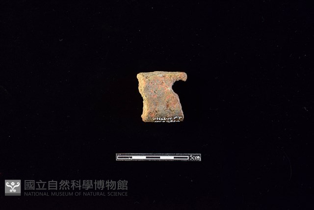 陶片藏品圖，第2張