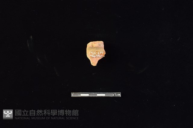 連杯形器藏品圖，第2張