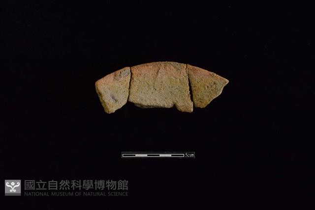 陶罐藏品圖，第2張