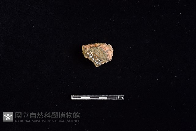 陶片藏品圖，第2張